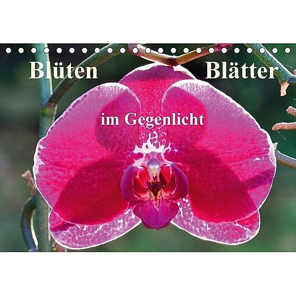 Blüten Blätter im Gegenlicht (Tischkalender 2017 DIN A5 quer), Gabriele Masalowicz