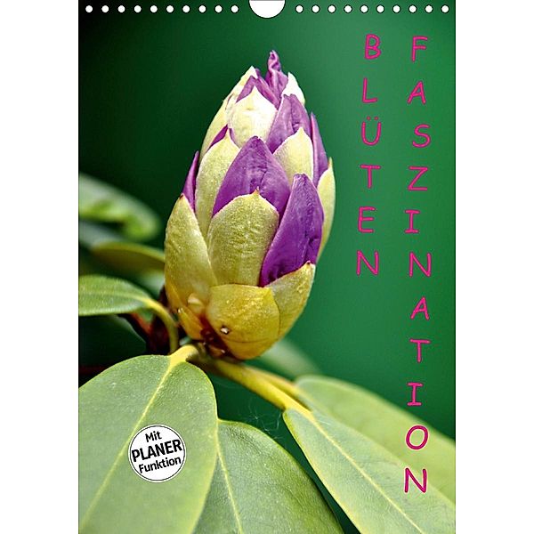 Blüten Faszination (Wandkalender 2021 DIN A4 hoch), Gugigei
