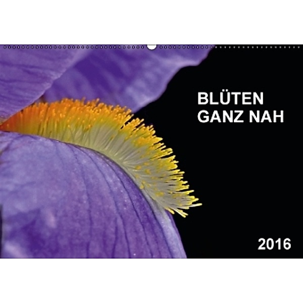 Blüten ganz nah (Wandkalender 2016 DIN A2 quer), Friedhelm Bauer