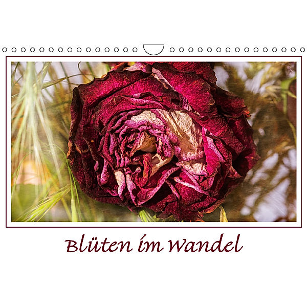 Blüten im Wändel (Wandkalender 2019 DIN A4 quer), Angelika Beuck