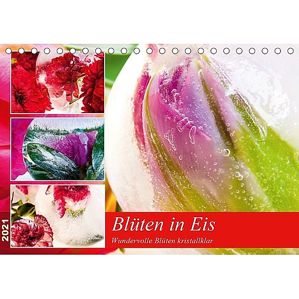 Blüten in Eis (Tischkalender 2021 DIN A5 quer), Marc Heiligenstein