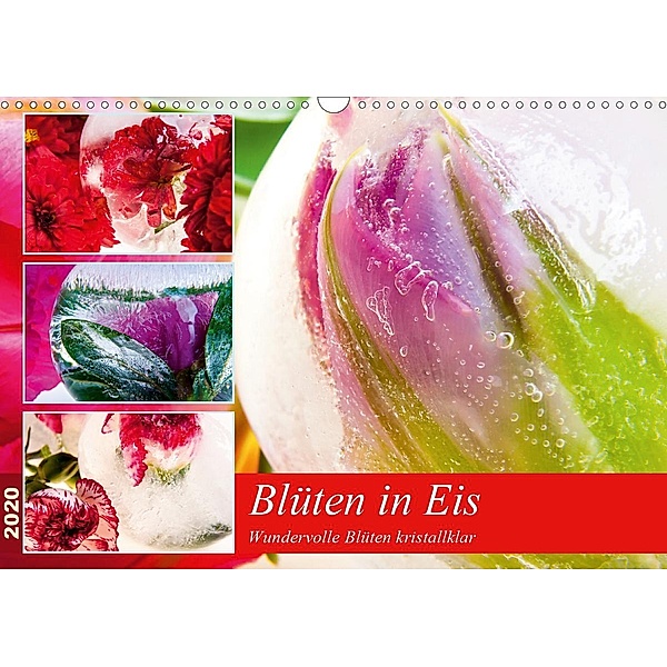 Blüten in Eis (Wandkalender 2020 DIN A3 quer), Marc Heiligenstein