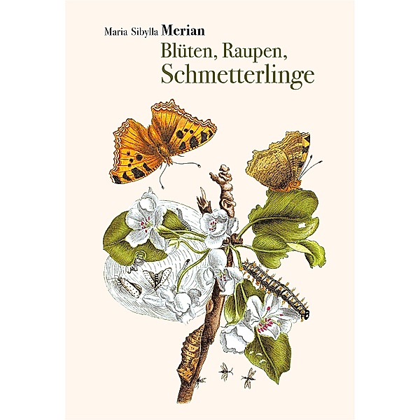 Blüten, Raupen, Schmetterlinge, Maria Sibylla Merian