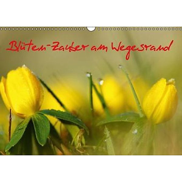 Blüten-Zauber am Wegesrand 2016 (Wandkalender 2016 DIN A3 quer), Lutz Klapp