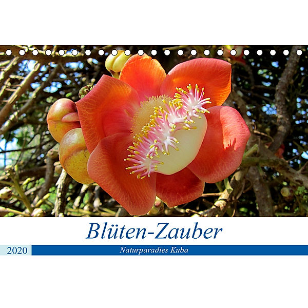 Blüten-Zauber - Naturparadies Kuba (Tischkalender 2020 DIN A5 quer), Henning von Löwis of Menar