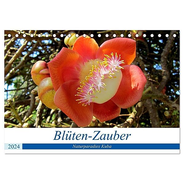 Blüten-Zauber - Naturparadies Kuba (Tischkalender 2024 DIN A5 quer), CALVENDO Monatskalender, Henning von Löwis of Menar