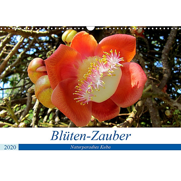 Blüten-Zauber - Naturparadies Kuba (Wandkalender 2020 DIN A3 quer), Henning von Löwis of Menar