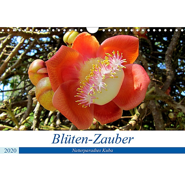 Blüten-Zauber - Naturparadies Kuba (Wandkalender 2020 DIN A4 quer), Henning von Löwis of Menar