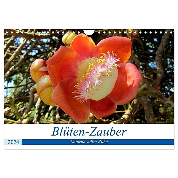 Blüten-Zauber - Naturparadies Kuba (Wandkalender 2024 DIN A4 quer), CALVENDO Monatskalender, Henning von Löwis of Menar