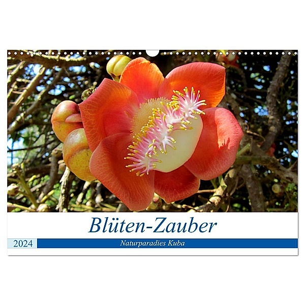 Blüten-Zauber - Naturparadies Kuba (Wandkalender 2024 DIN A3 quer), CALVENDO Monatskalender, Henning von Löwis of Menar
