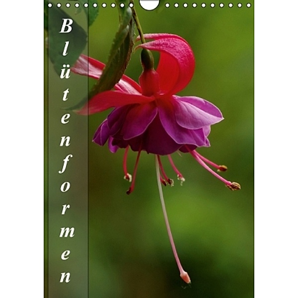 Blütenformen / Planer (Wandkalender 2014 DIN A4 hoch), Bianca Schumann
