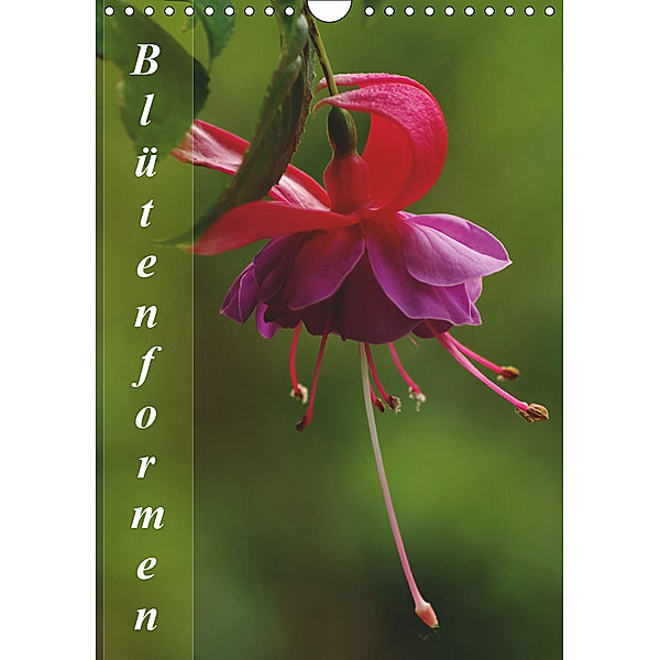 Blütenformen (Wandkalender 2019 DIN A4 hoch), Bianca Schumann