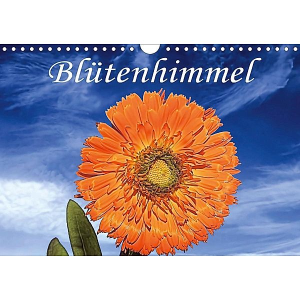 Blütenhimmel (Wandkalender 2021 DIN A4 quer), Frank Grabnar