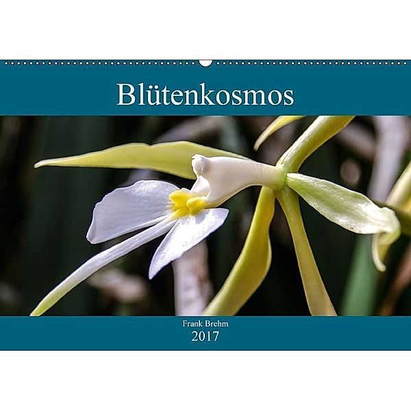 Blütenkosmos (Wandkalender 2017 DIN A2 quer), Frank Brehm