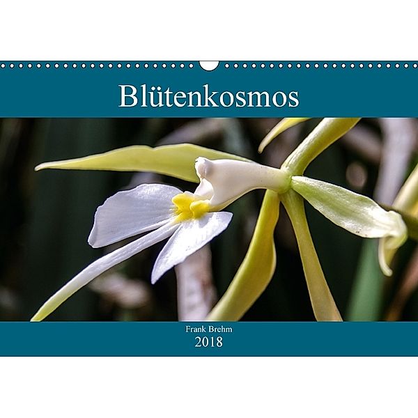 Blütenkosmos (Wandkalender 2018 DIN A3 quer), Frank Brehm