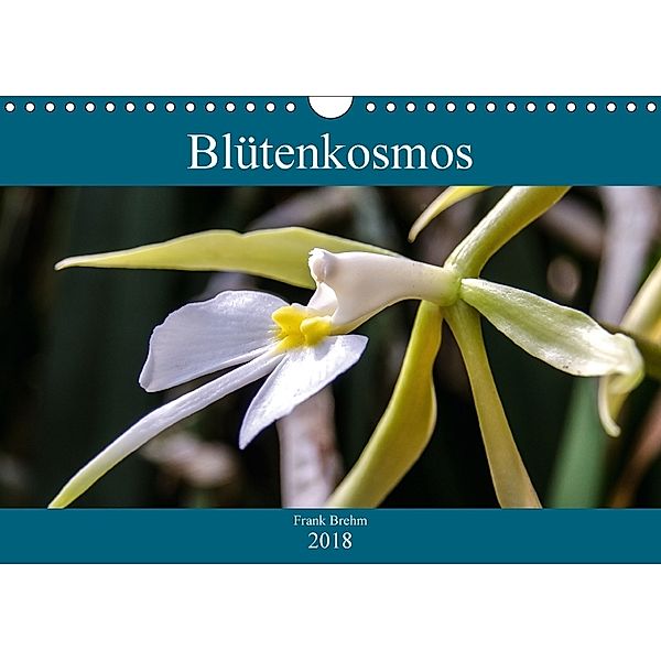 Blütenkosmos (Wandkalender 2018 DIN A4 quer), Frank Brehm