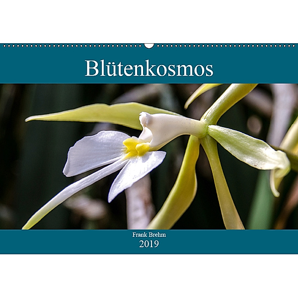 Blütenkosmos (Wandkalender 2019 DIN A2 quer), Frank Brehm
