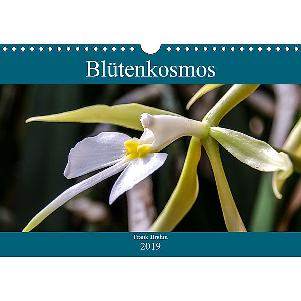 Blütenkosmos (Wandkalender 2019 DIN A4 quer), Frank Brehm