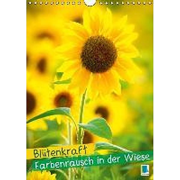 Blütenkraft - Farbenrausch in der Wiese (Wandkalender 2016 DIN A4 hoch), Calvendo