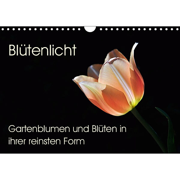 Blütenlicht - Gartenblumen und Blüten in ihrer reinsten Form (Wandkalender 2019 DIN A4 quer), Markus Peceny