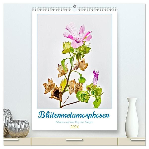 Blütenmetamorphosen (hochwertiger Premium Wandkalender 2024 DIN A2 hoch), Kunstdruck in Hochglanz, Clemens Stenner