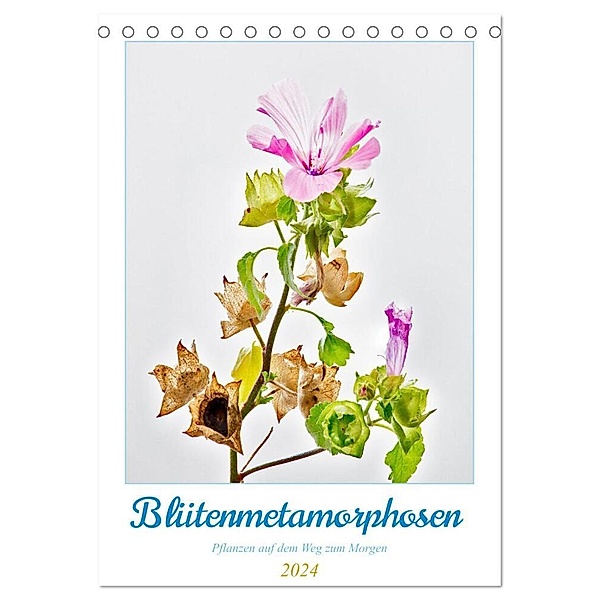 Blütenmetamorphosen (Tischkalender 2024 DIN A5 hoch), CALVENDO Monatskalender, Clemens Stenner