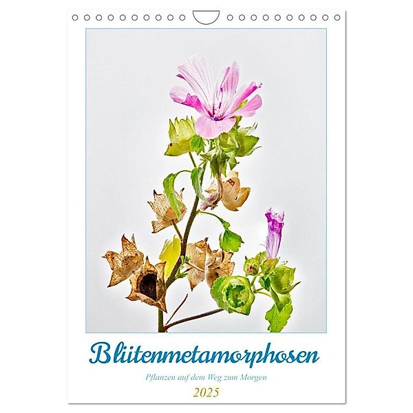 Blütenmetamorphosen (Wandkalender 2025 DIN A4 hoch), CALVENDO Monatskalender, Calvendo, Clemens Stenner