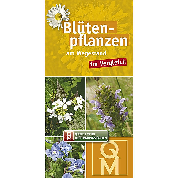 Blütenpflanzen am Wegesrand im Vergleich, Bestimmungskarten