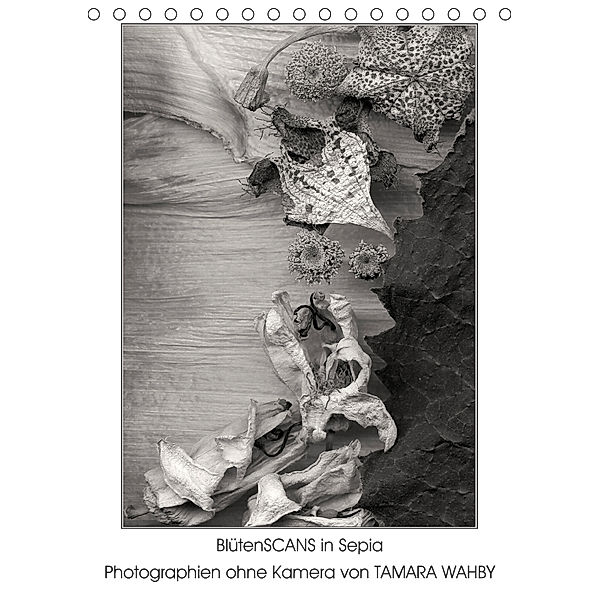 BlütenScans in Sepia, Photographien ohne Kamera von Tamara Wahby (Tischkalender 2019 DIN A5 hoch), Tamara Wahby