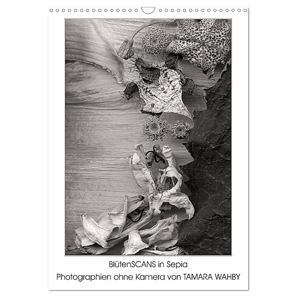 BlütenScans in Sepia, Photographien ohne Kamera von Tamara Wahby (Wandkalender 2024 DIN A3 hoch), CALVENDO Monatskalender, Tamara Wahby