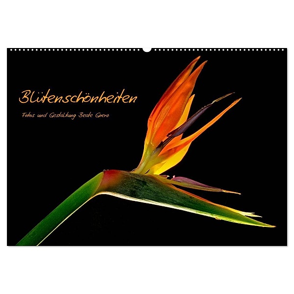 Blütenschönheiten (Wandkalender 2024 DIN A2 quer), CALVENDO Monatskalender, Beate Goerz