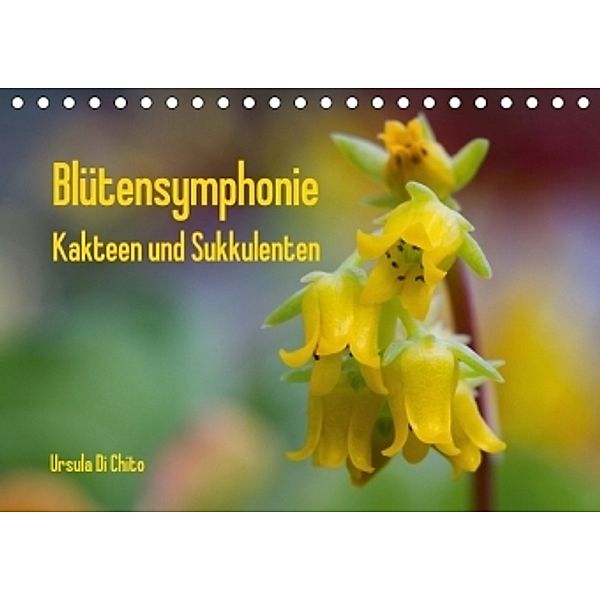 Blütensymphonie - Kakteen und Sukkulenten (Tischkalender 2017 DIN A5 quer), Ursula Di Chito