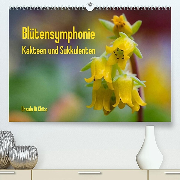 Blütensymphonie - Kakteen und Sukkulenten (Premium, hochwertiger DIN A2 Wandkalender 2023, Kunstdruck in Hochglanz), Ursula Di Chito
