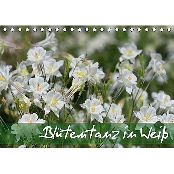Blütentanz in Weiß (Tischkalender 2020 DIN A5 quer), Gisela Kruse