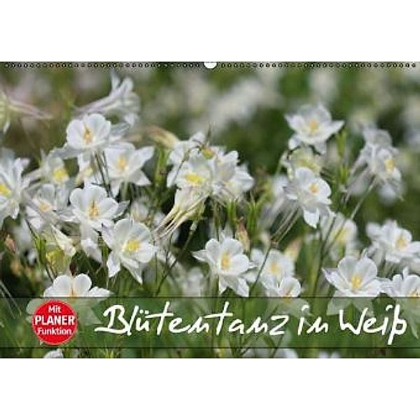 Blütentanz in Weiß (Wandkalender 2016 DIN A2 quer), Gisela Kruse