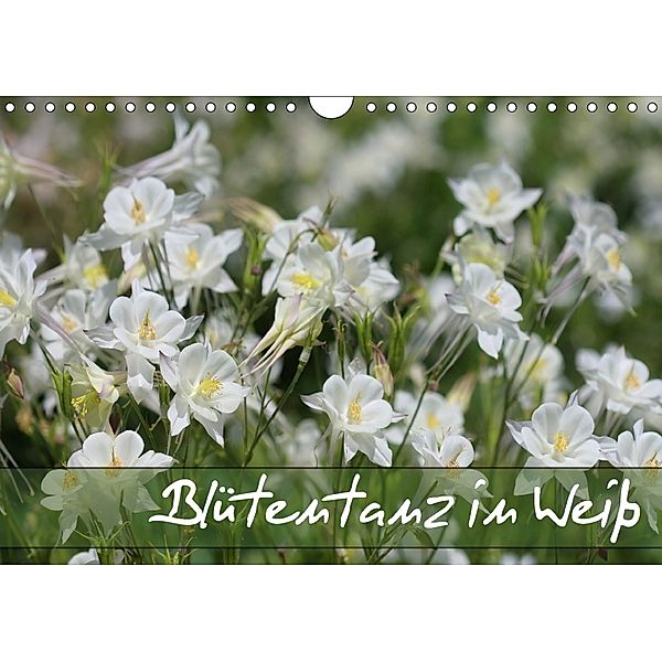 Blütentanz in Weiß (Wandkalender 2018 DIN A4 quer), Gisela Kruse