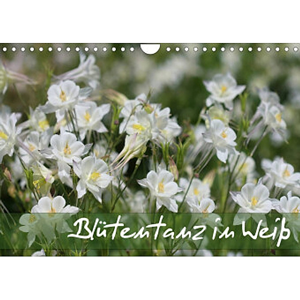 Blütentanz in Weiß (Wandkalender 2022 DIN A4 quer), Gisela Kruse
