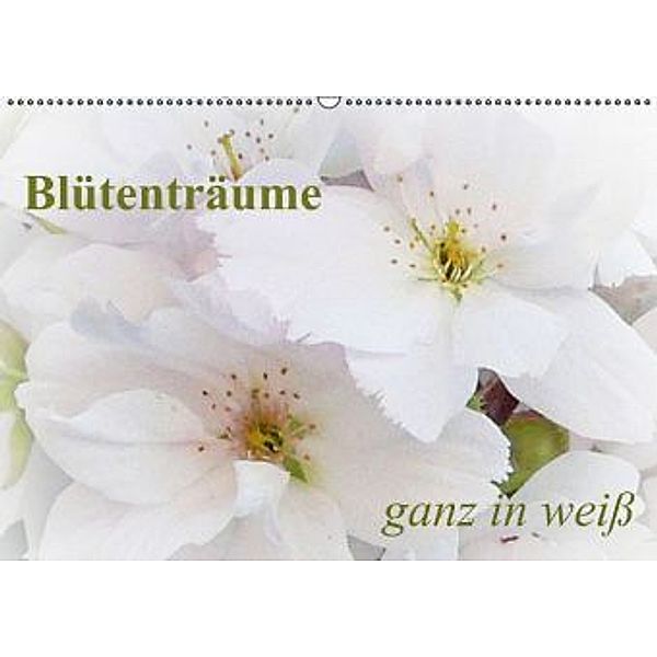 Blütenträume - ganz in weiß / AT-Version (Wandkalender 2015 DIN A2 quer), Art-Motiva