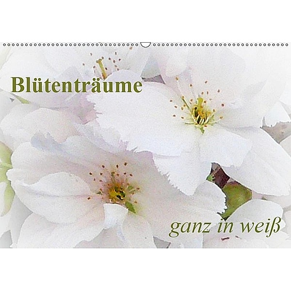 Blütenträume - ganz in weiß / CH-Version (Wandkalender 2019 DIN A2 quer), Art-Motiva
