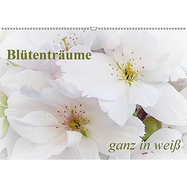 Blütenträume - ganz in weiß (Wandkalender 2017 DIN A2 quer), Art-Motiva