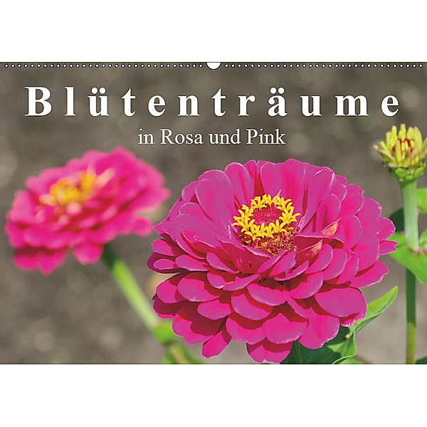 Blütenträume in Rosa und Pink (Wandkalender 2019 DIN A2 quer), LianeM