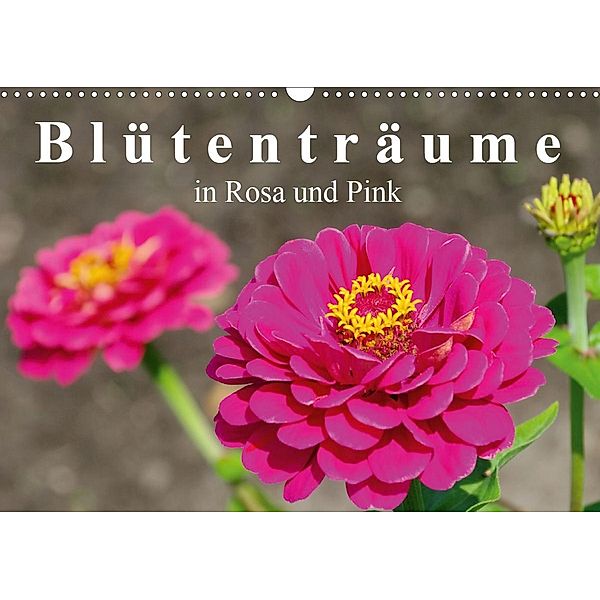 Blütenträume in Rosa und Pink (Wandkalender 2020 DIN A3 quer)
