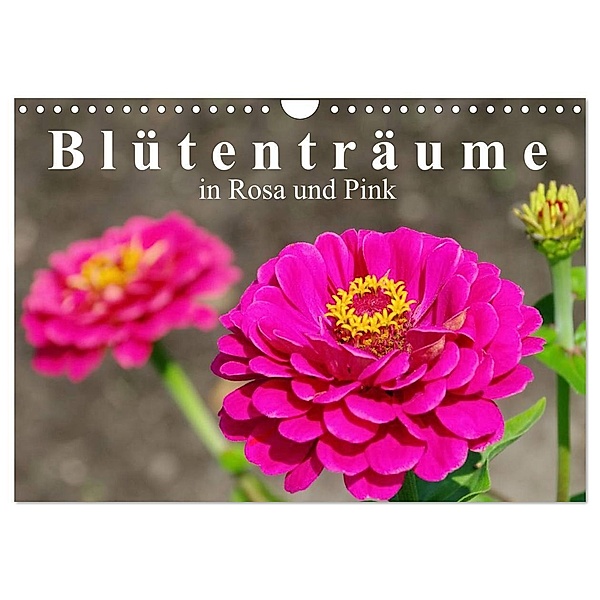Blütenträume in Rosa und Pink (Wandkalender 2024 DIN A4 quer), CALVENDO Monatskalender, LianeM