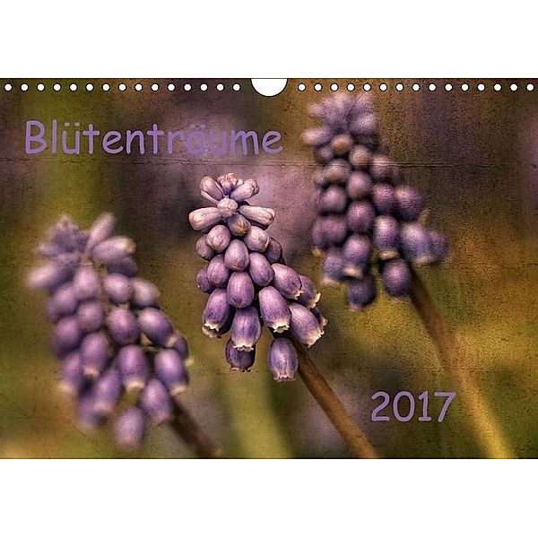 Blütenträume (Wandkalender 2017 DIN A4 quer), Hernegger Arnold