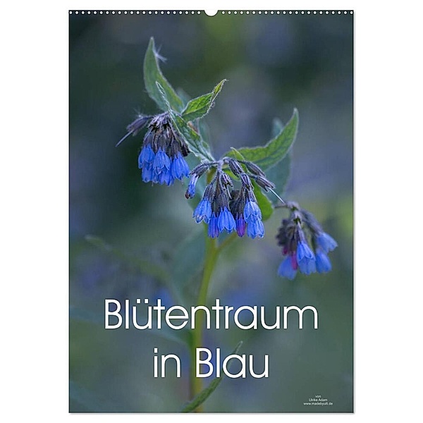 Blütentraum in Blau (Wandkalender 2024 DIN A2 hoch), CALVENDO Monatskalender, Ulrike Adam
