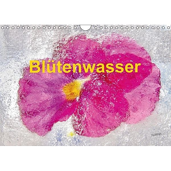 Blütenwasser (Wandkalender 2017 DIN A4 quer), norbert nuckel