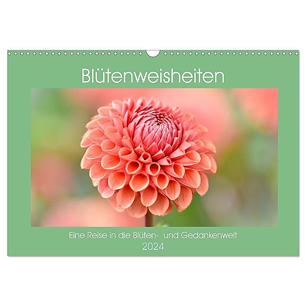 Blütenweisheiten (Wandkalender 2024 DIN A3 quer), CALVENDO Monatskalender, Aneta Zofia Brinker