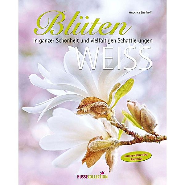 Blütenweiss, Angelica Linnhoff