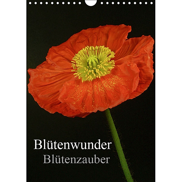 Blütenwunder - Blütenzauber (Wandkalender 2019 DIN A4 hoch), Winfried Rusch