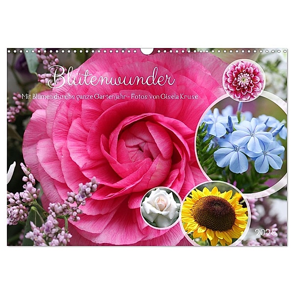 Blütenwunder - Mit Blumen durchs ganze Gartenjahr (Wandkalender 2025 DIN A3 quer), CALVENDO Monatskalender, Calvendo, Gisela Kruse
